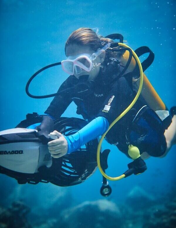 dpv diver idf